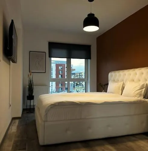 Mohost Lisabona - Live The Golden Light Brasov