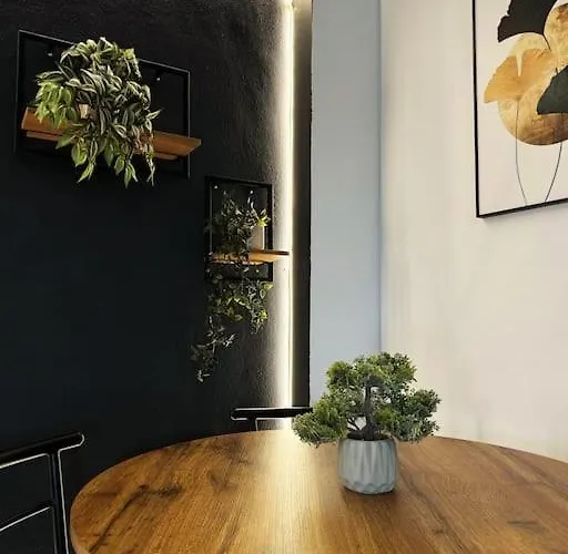 Mohost Lisabona - Live The Golden Light Brasov