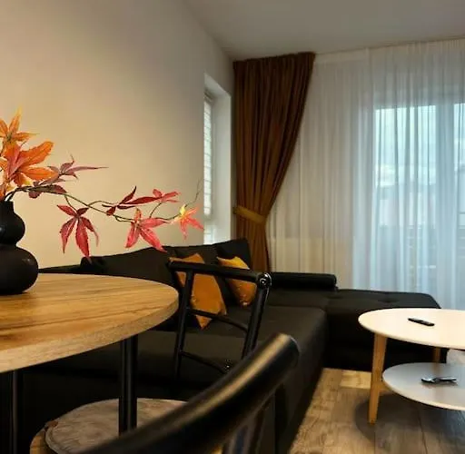 Mohost Lisabona - Live The Golden Light * Brasov