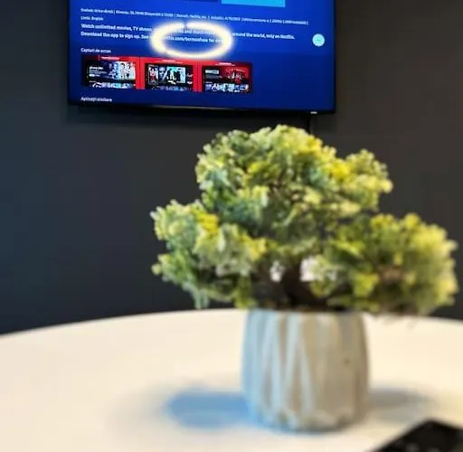 Mohost Lisabona - Live The Golden Light * Brasov