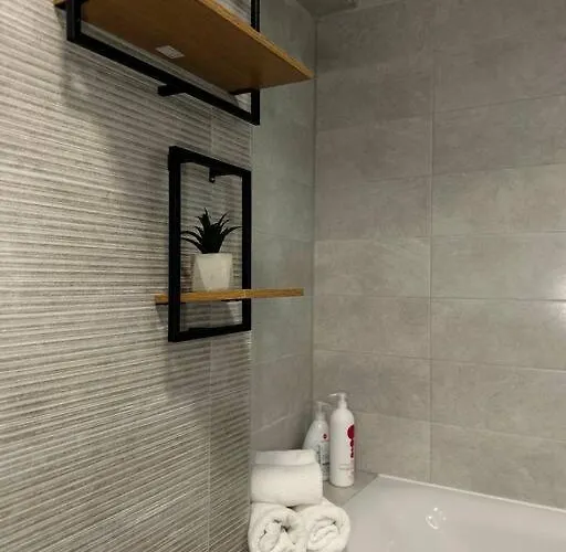 Mohost Lisabona - Live The Golden Light