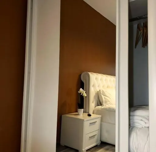 Mohost Lisabona - Live The Golden Light * Brasov